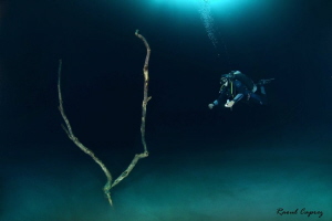 Second exploration at 27m just above a hydrogen sulfide l... by Raoul Caprez 